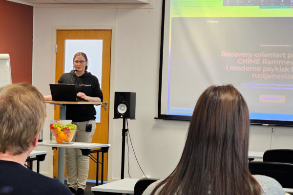 Yvonne Vornes holder presentasjon